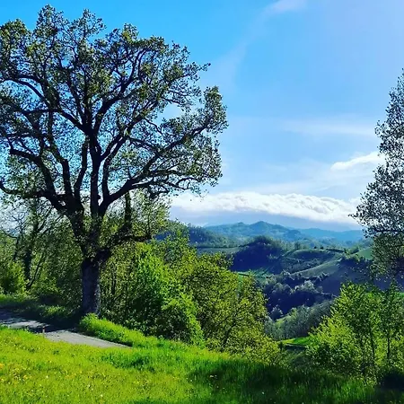 ベッド・アンド・ブレックファスト Casolara 3*