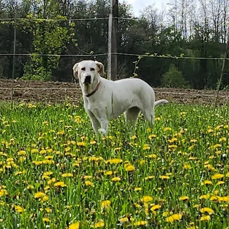 Casolara ベッド・アンド・ブレックファスト