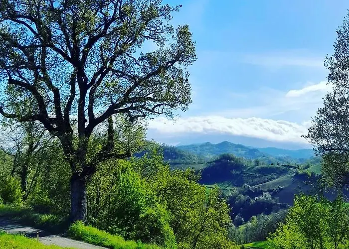 Bed & Breakfast Casolara 3*